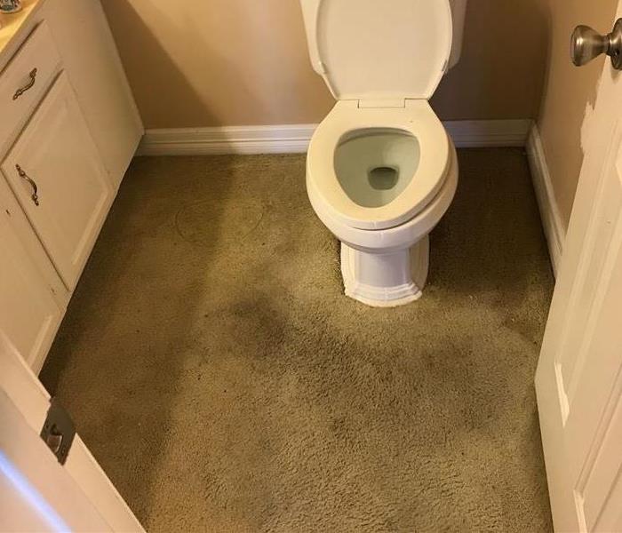 Saturated Carpet in Bathroom