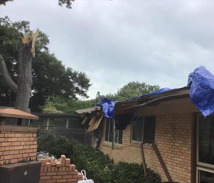 Fallen Tree on Roof During Storm